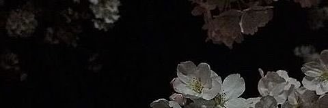 amn__pp3's profile banner image