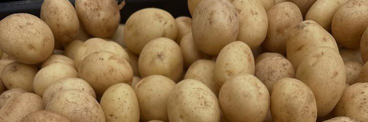 nook_potato's profile banner image
