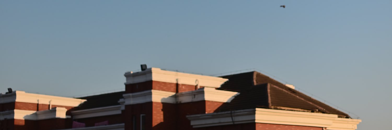 SzewZit's profile banner image