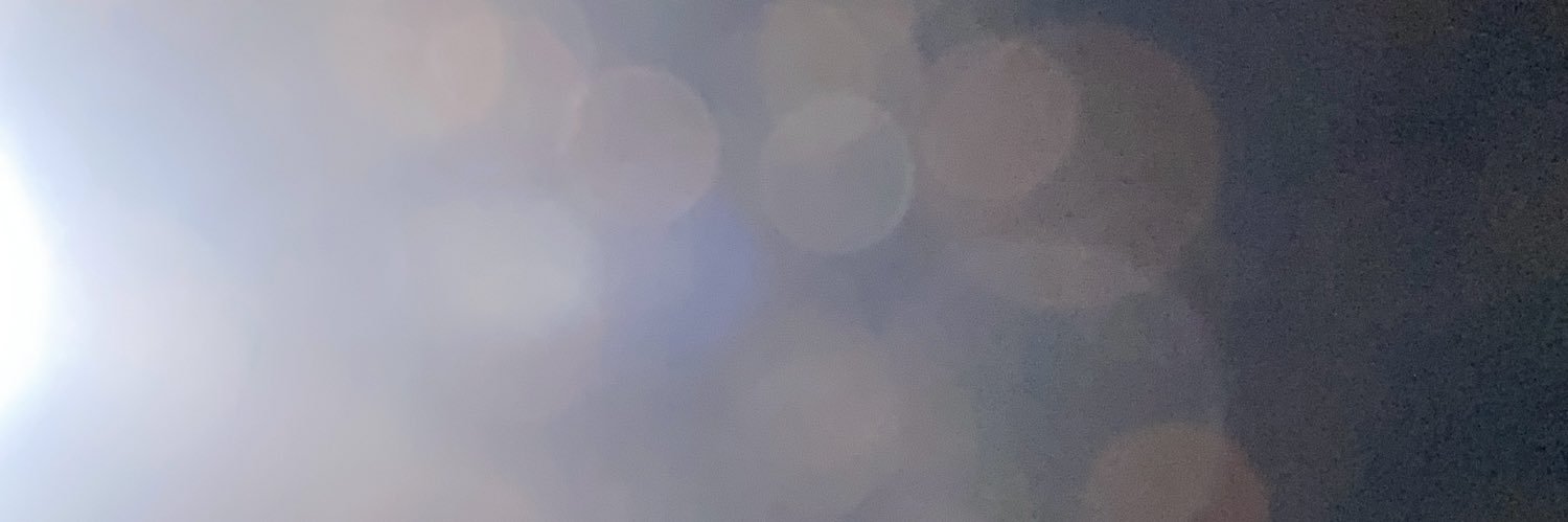 prof pipi banner