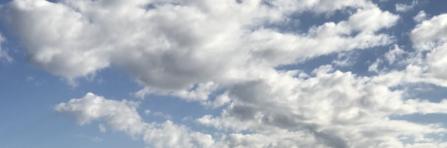 浜のダイchan🍄 banner