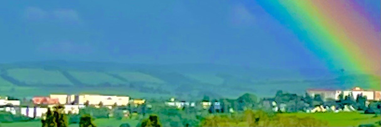 tatzelko's profile banner image
