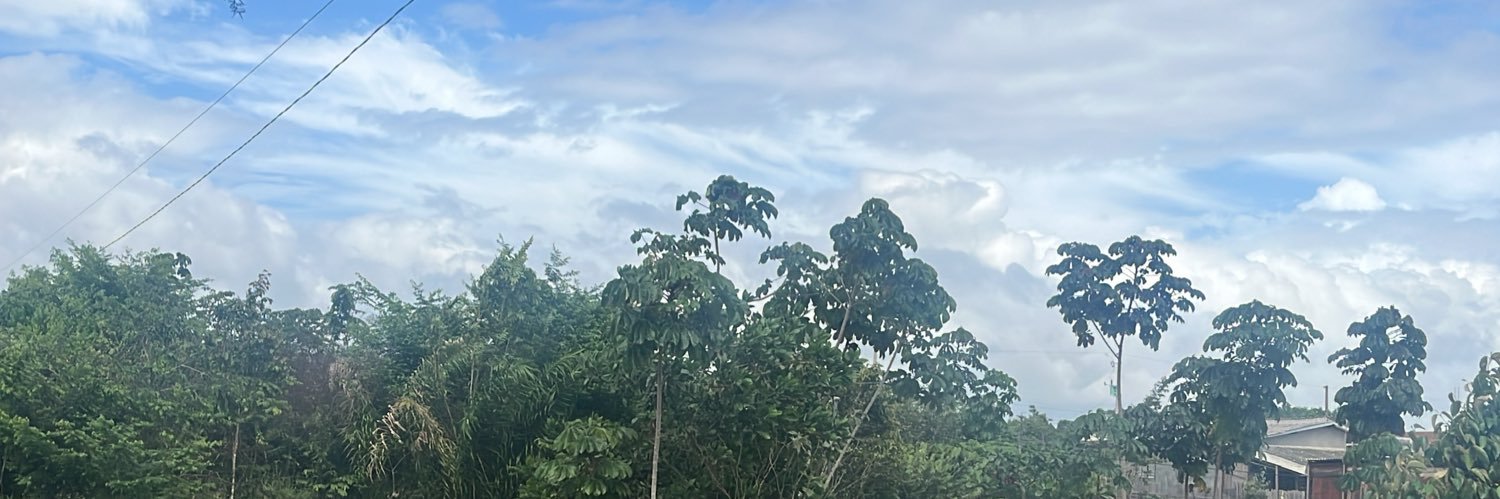 Novinho Zl banner