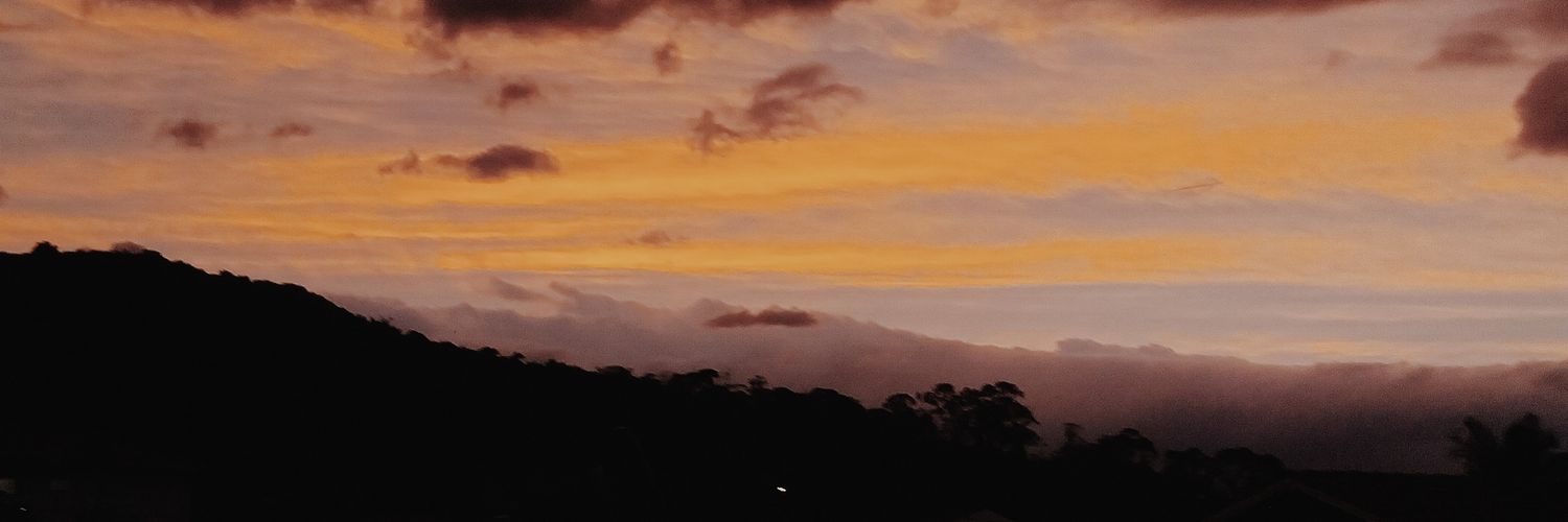 lu ❥ vai ver o EN- banner