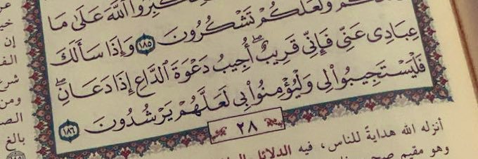 DAN 👩🏻‍⚕️ banner