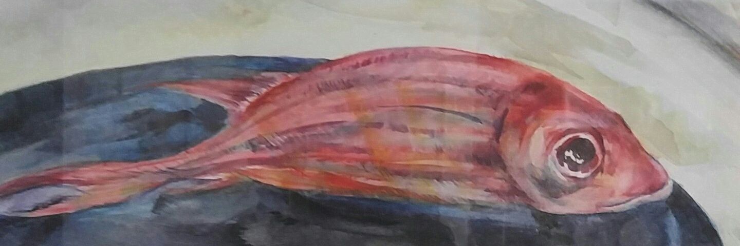 rpiresr's profile banner image