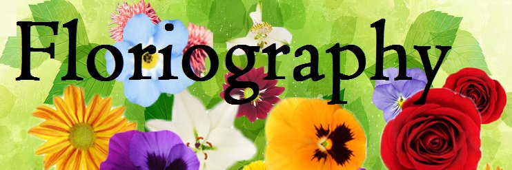 ORGANICSOAPSPA's profile banner image