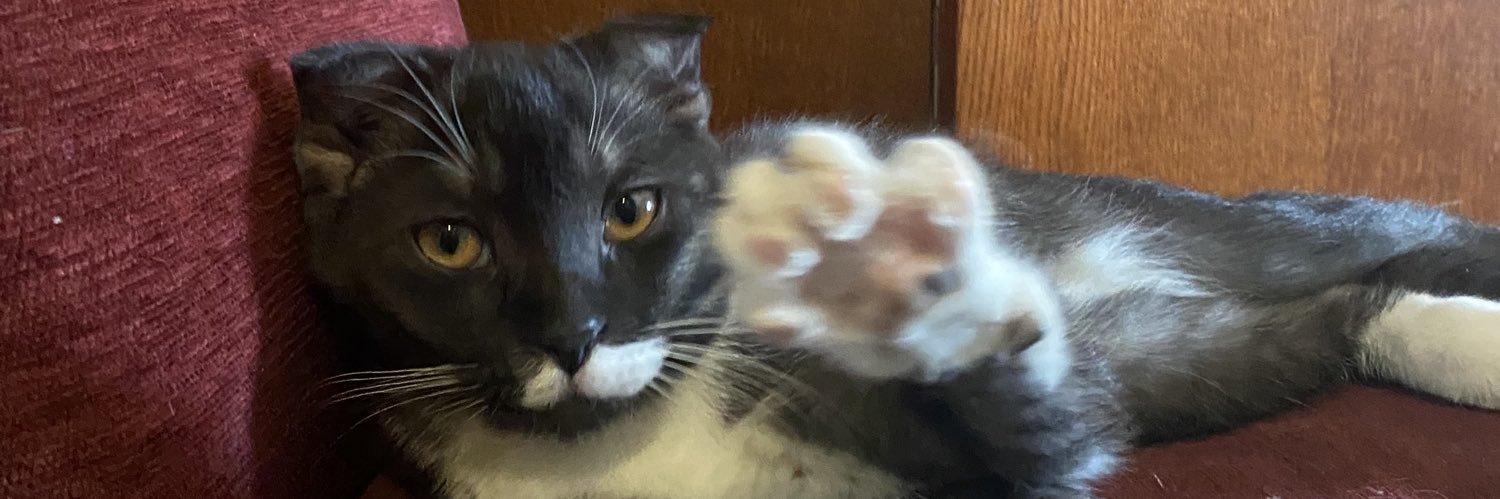 Abbos Lapasov | Advokat banner