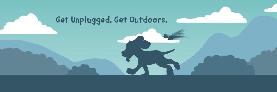 Kids in Parks banner