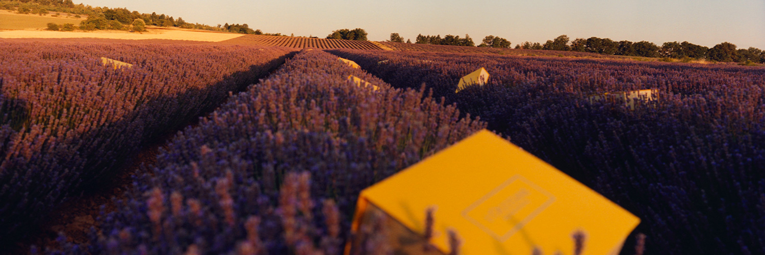 ロクシタン 公式 banner