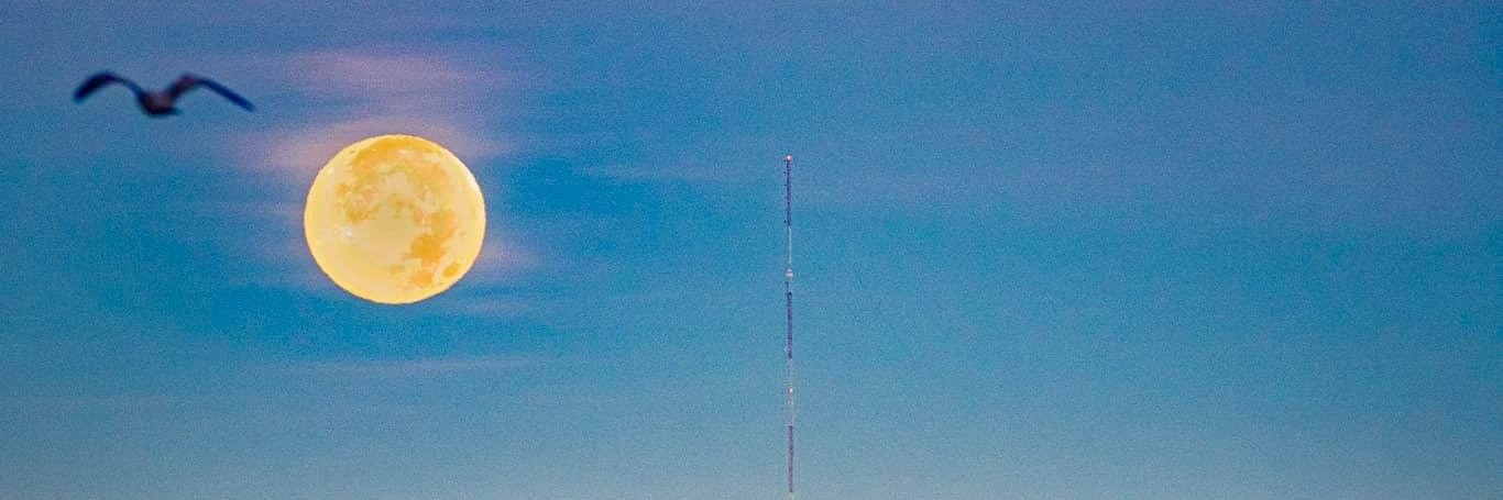 Eric Fought, DMin banner