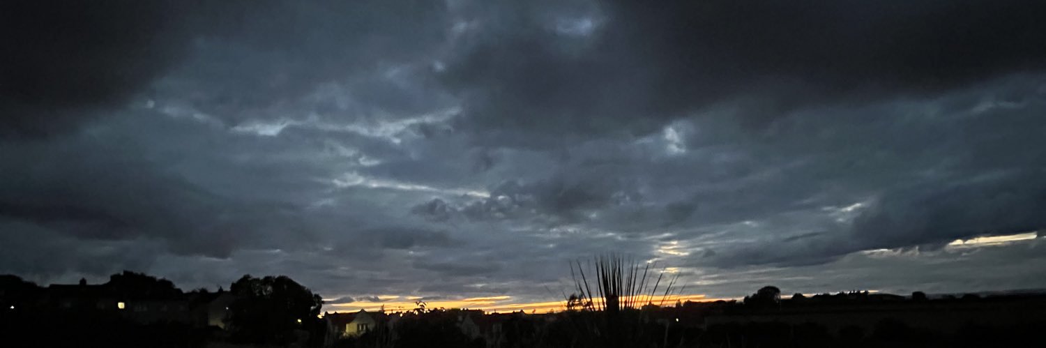 Lavender banner