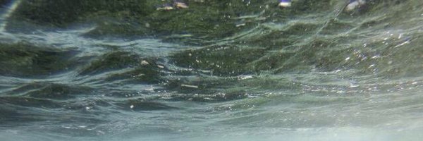 SSSupafreak Profile Banner