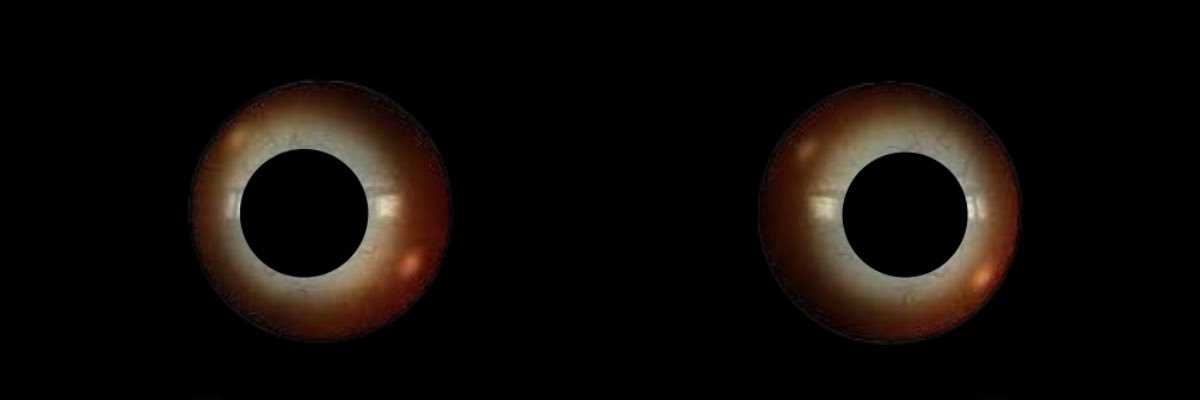 Is END in Memory Lane or any asym? Day Counter: 59 banner