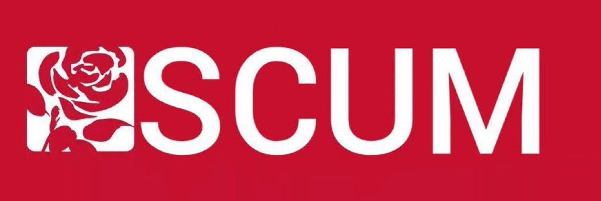 Bavolengro 👻 banner