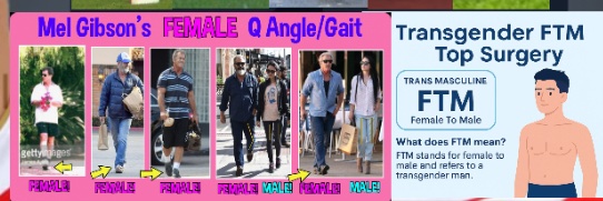 FTM & MTF Forensics banner