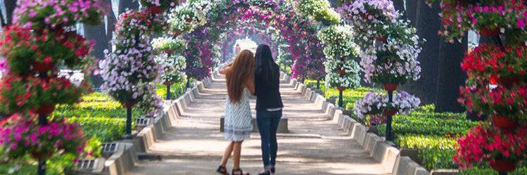 Laura Elena Estrada banner