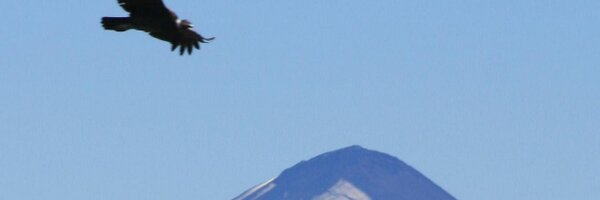 davidmpyle Profile Banner