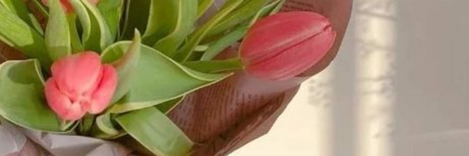 晃了个晃 banner