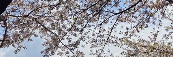 Bl4ckmoooon Profile Banner