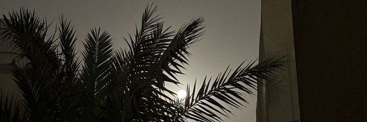 أبو ؤضحه ☪ banner