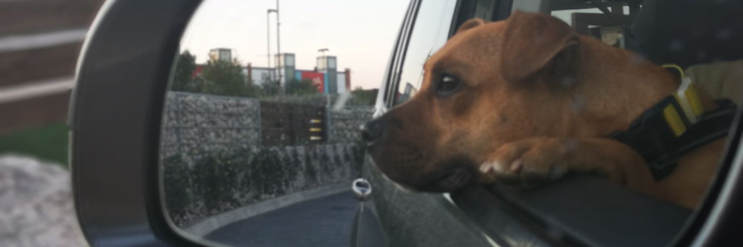 MrsGozTbag's profile banner image