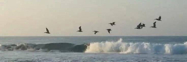 Cléophée݁ ˖Ი𐑼⋆ banner