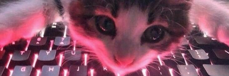 𝒞𝑒𝓇𝓈𝑒𝓎 banner