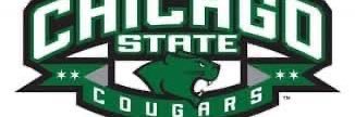 Chicagostatefbfan banner
