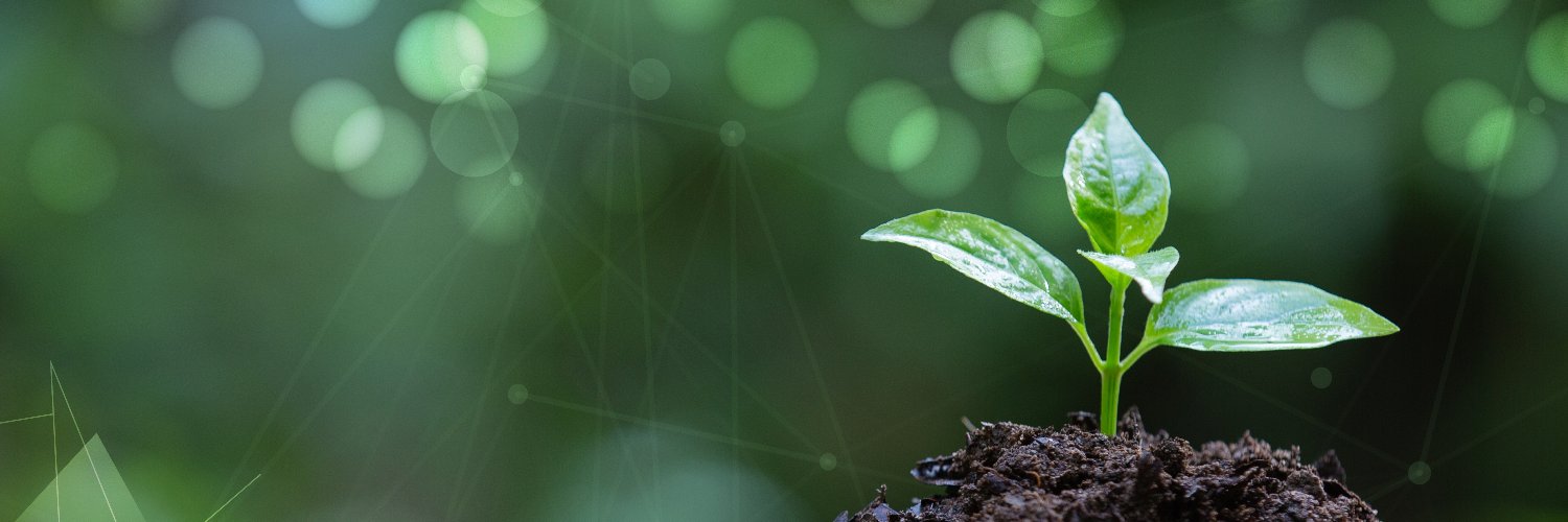 الفنار المجتمعية banner