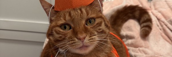 Lizzy02200059 Profile Banner