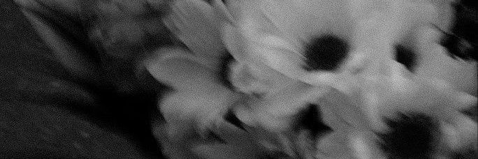 cicaniaa's profile banner image