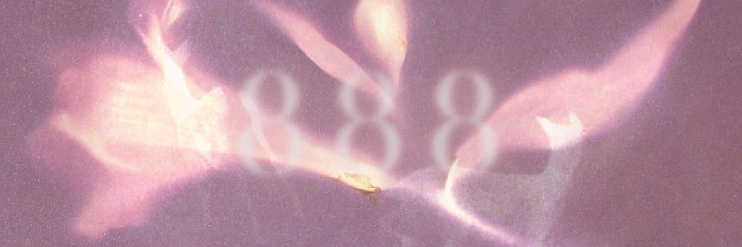 princess yue ⭑｡ banner