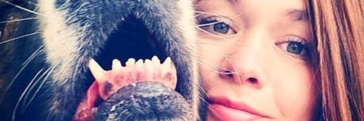 klasayywhat's profile banner image