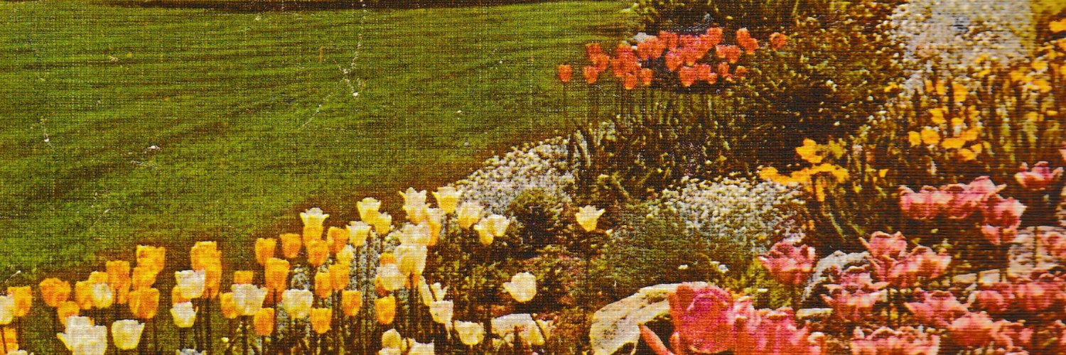 river and so on 🧚‍♀️ banner