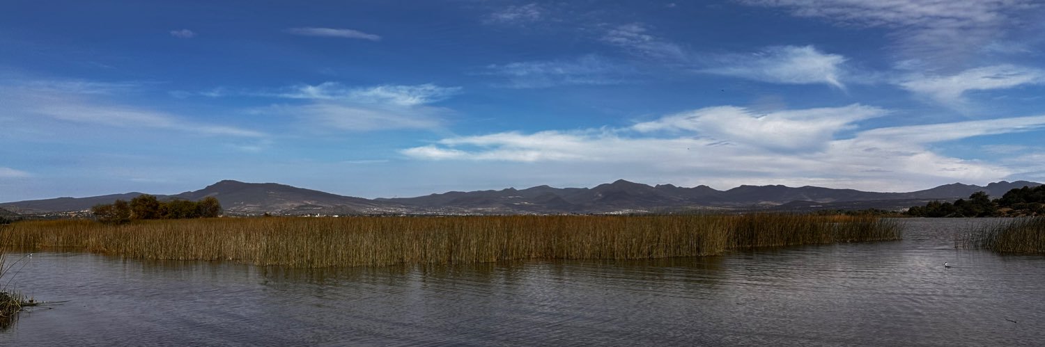 Dra. Vértebra Pumpkin Spice banner