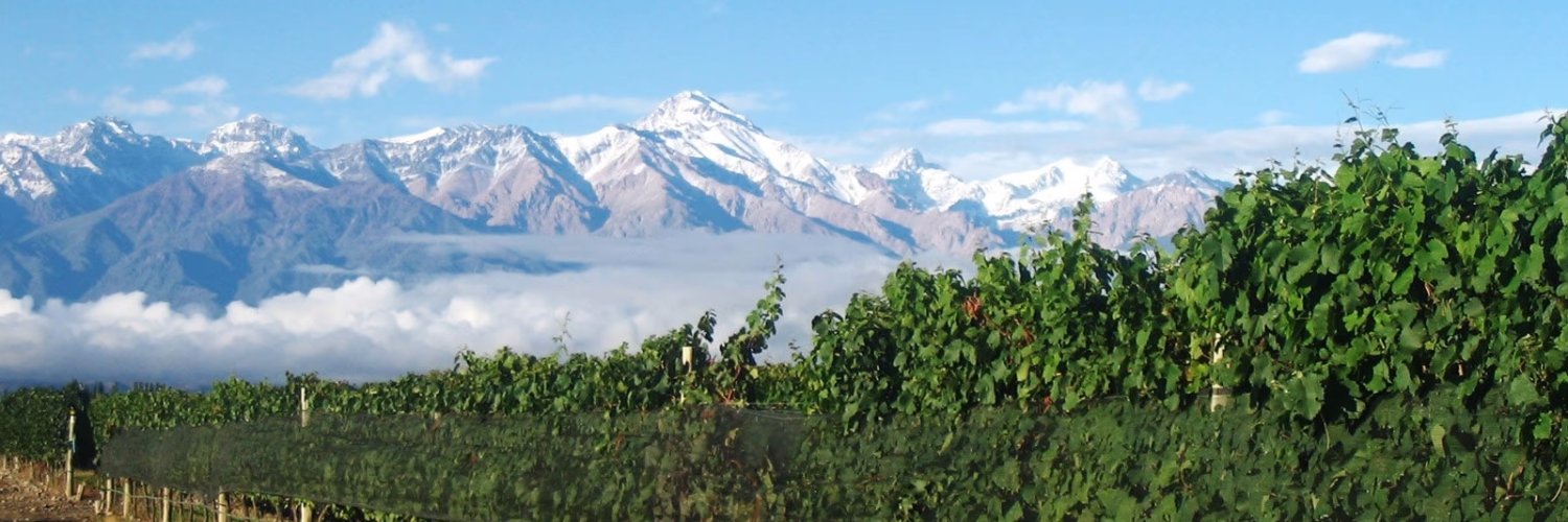 Pastorvinosalud's profile banner image