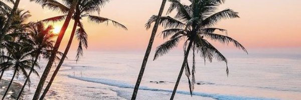 rocaalafaixa Profile Banner