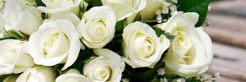 windawidiawati's profile banner image