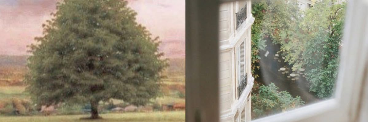 ⟡ banner