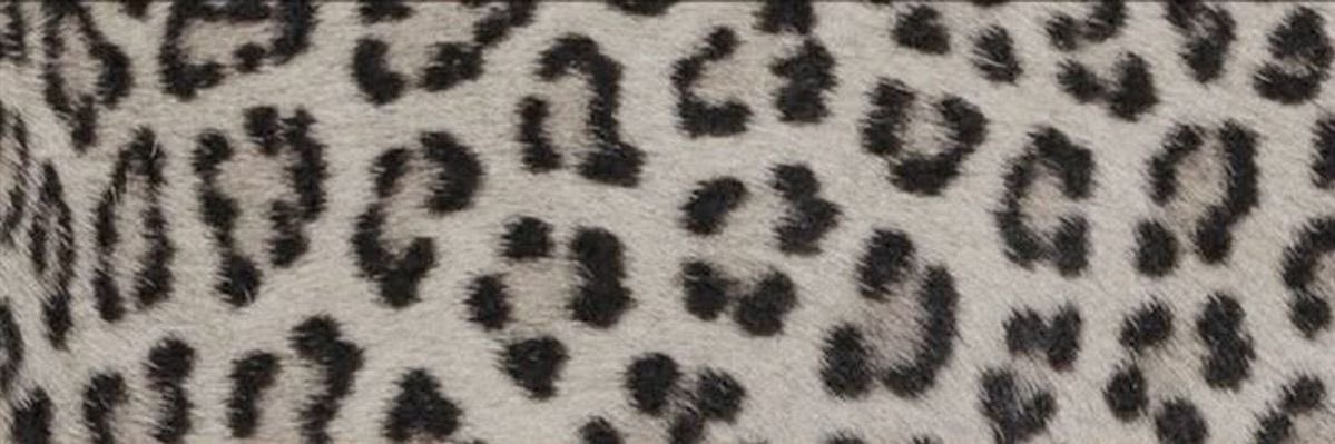 lanalogista's profile banner image