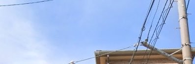 penpen8901's profile banner image