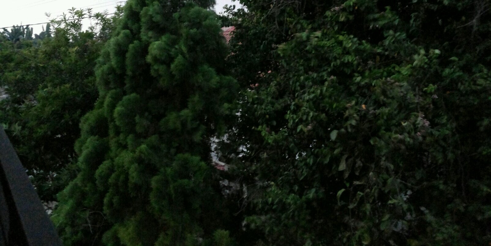 dypardy_'s profile banner image