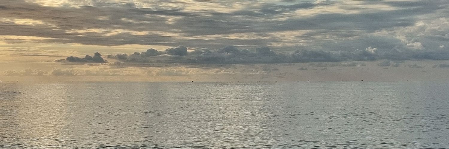falkozsuz's profile banner image