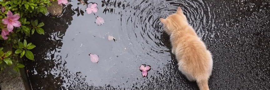 itsvwm's profile banner image