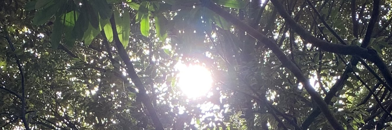rirajamo's profile banner image