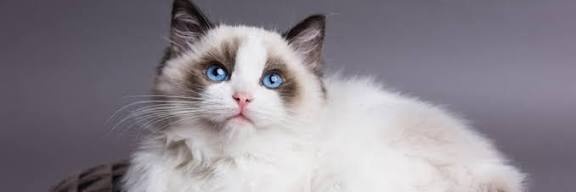 Umer nomad🍉 banner