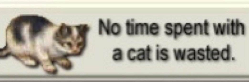 lixie ૮ ྀི˃̵ ࿁ ˂̵ 𑁬 ⭐️ jebewon forever 🧸 banner