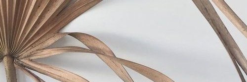 megcossmann's profile banner image