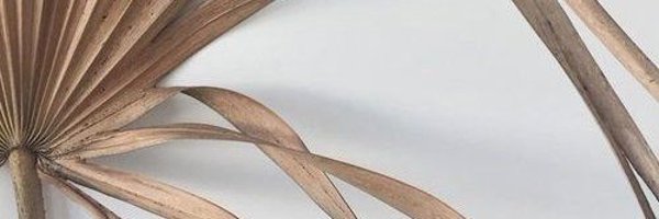 megcossmann Profile Banner